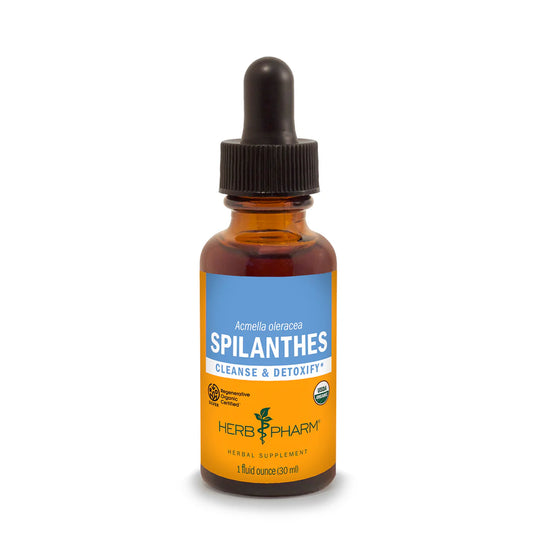 SPILANTHES EXTRACT