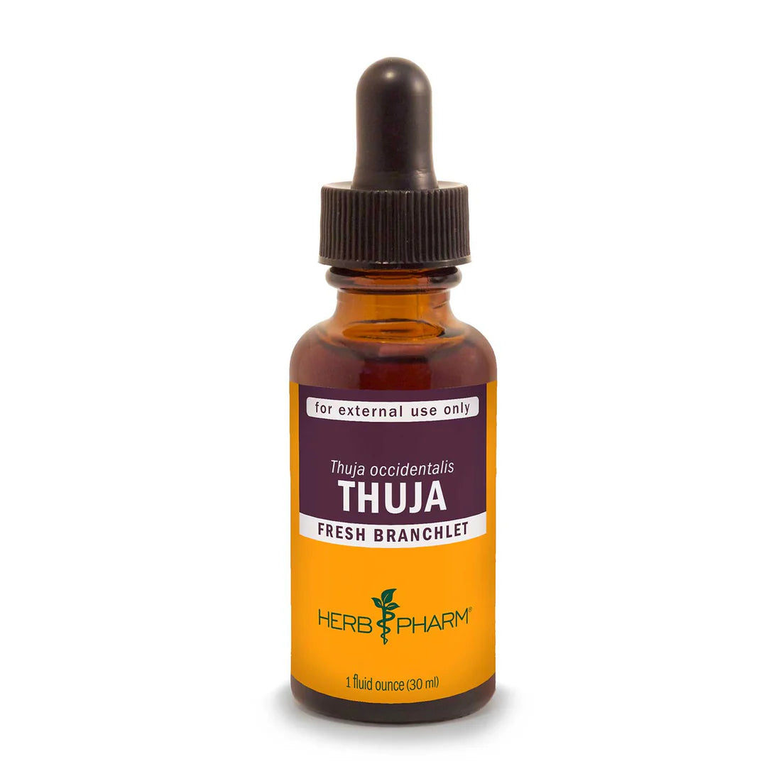 THUJA EXTRACT (EXTERNAL USE ONLY)