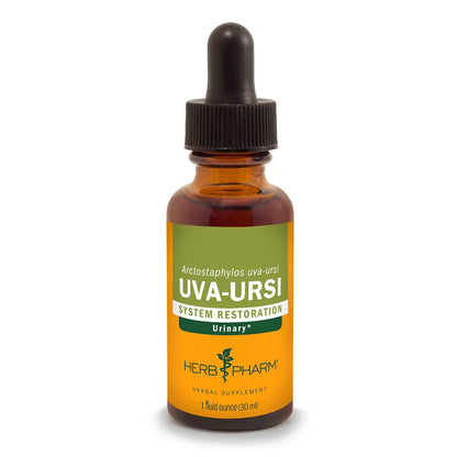 UVA-URSI EXTRACT