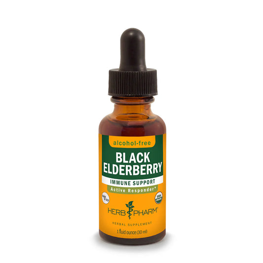 BLACK ELDERBERRY GLYCERITE
