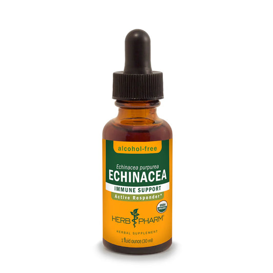 ECHINACEA GLYCERITE