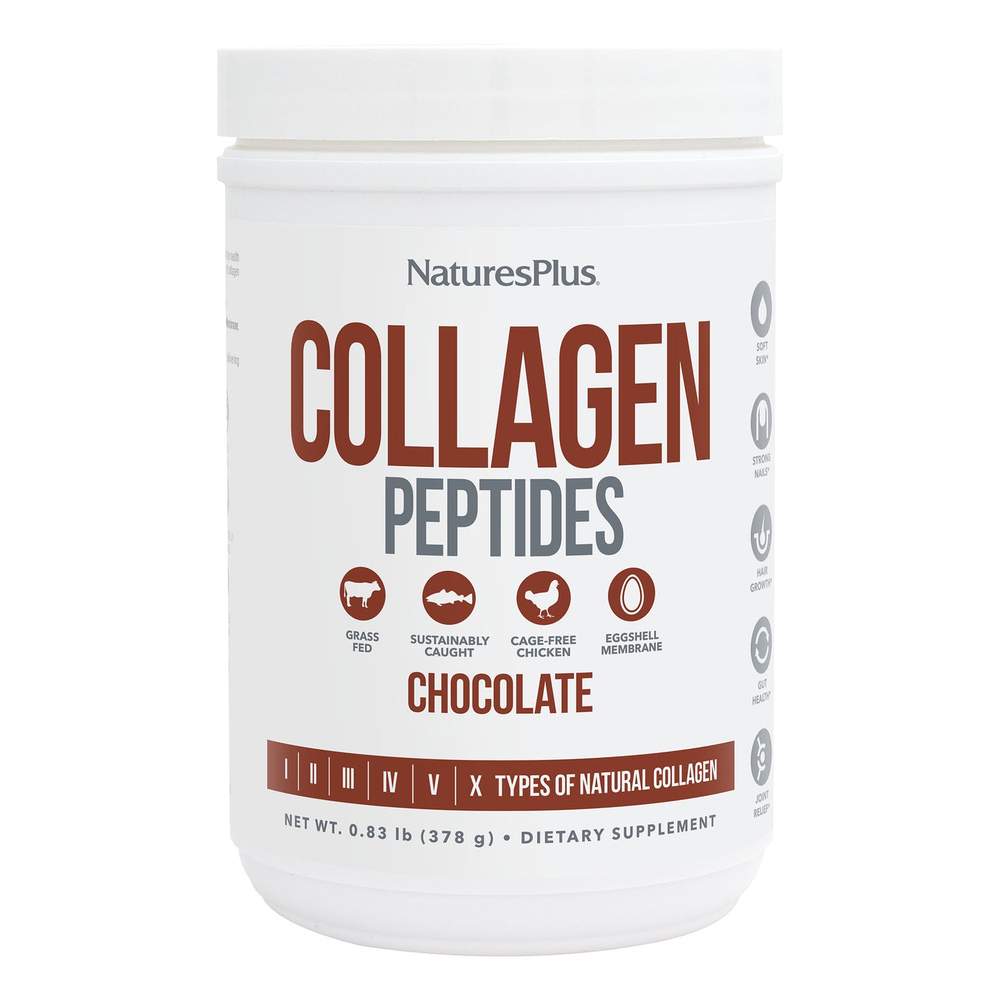 COLLAGEN PEPTIDES CHOCOLATE