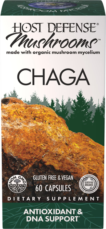 CHAGA (60)