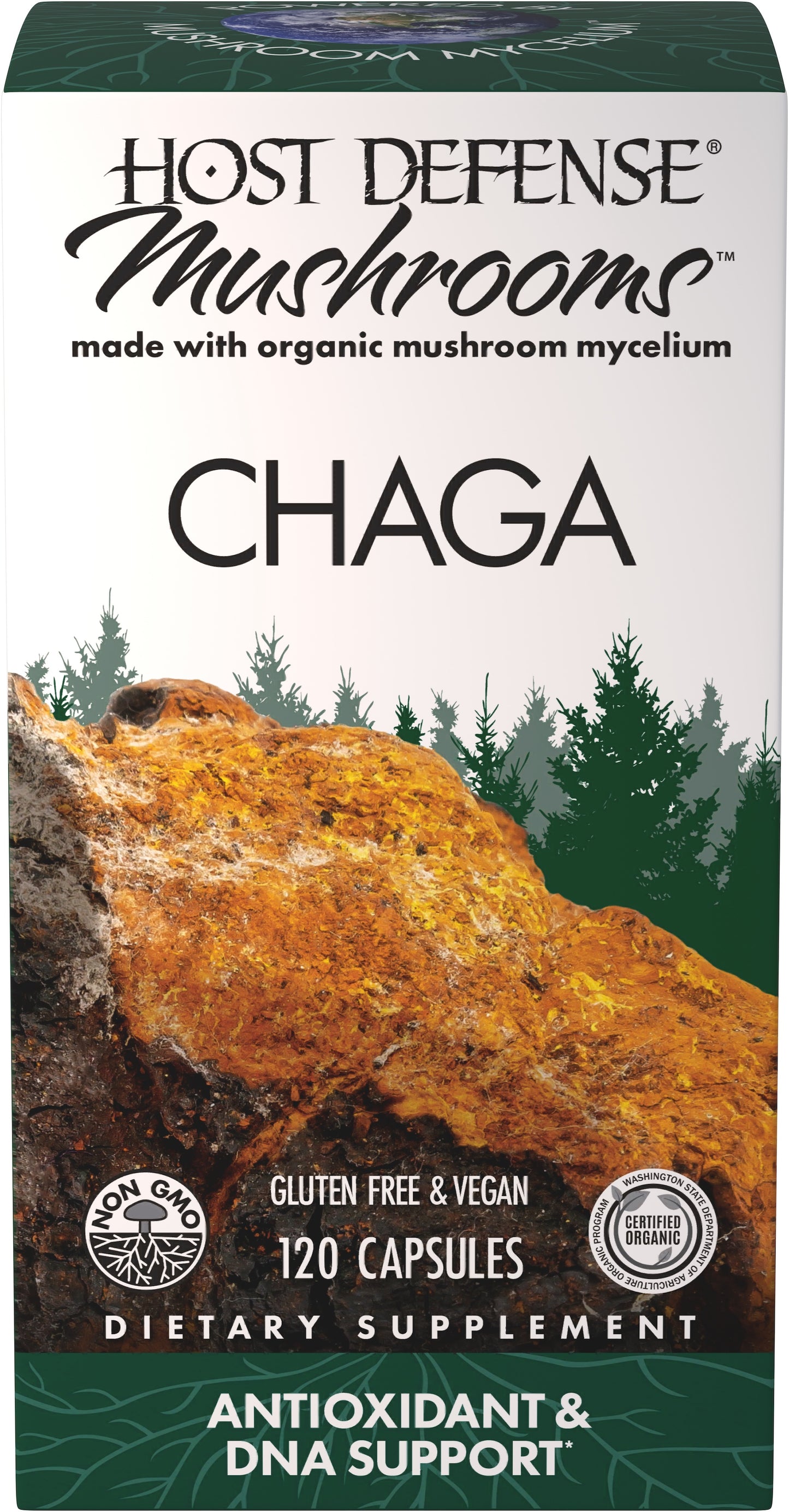 CHAGA (120)