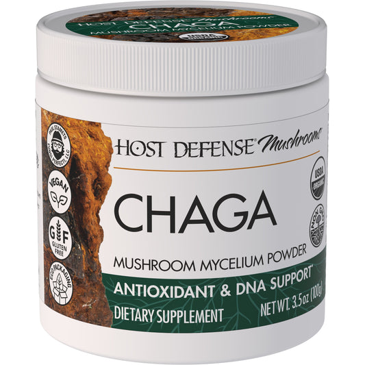 CHAGA POWDER