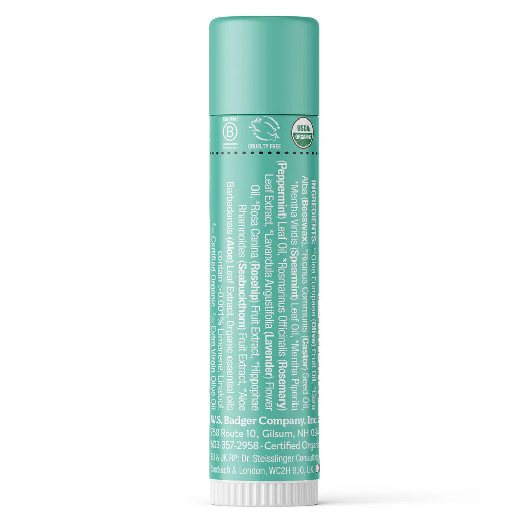 MINT LIP BALM