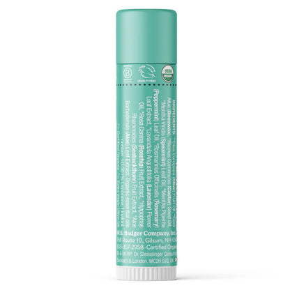 MINT LIP BALM