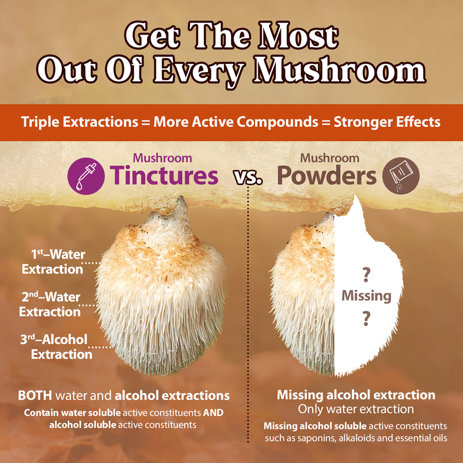 LION'S MANE DROPS
