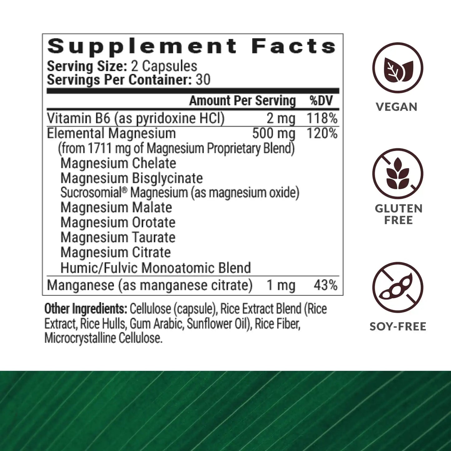 MAGNESIUM BREAKTHROUGH (60)