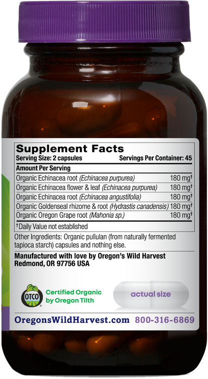 ECHINACEA GOLDENSEAL ORGANIC