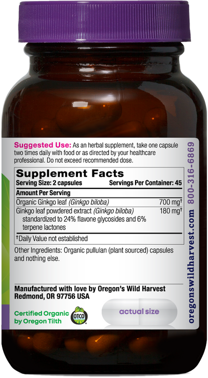 GINKGO ORG