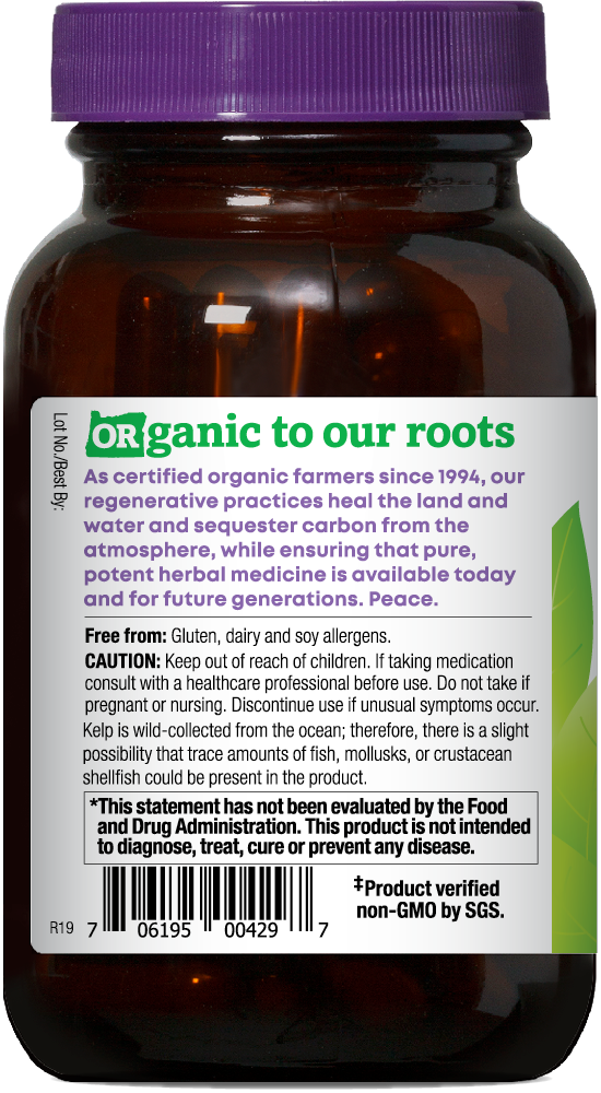 KELP ORGANIC
