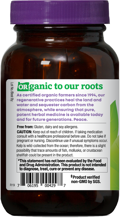 KELP ORGANIC