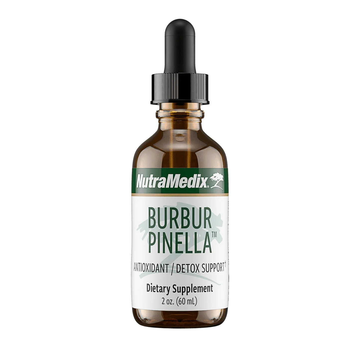 BURBUR PINELLA