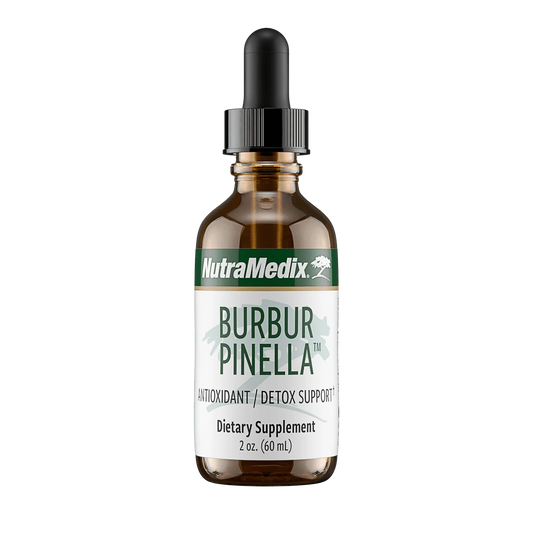 BURBUR PINELLA