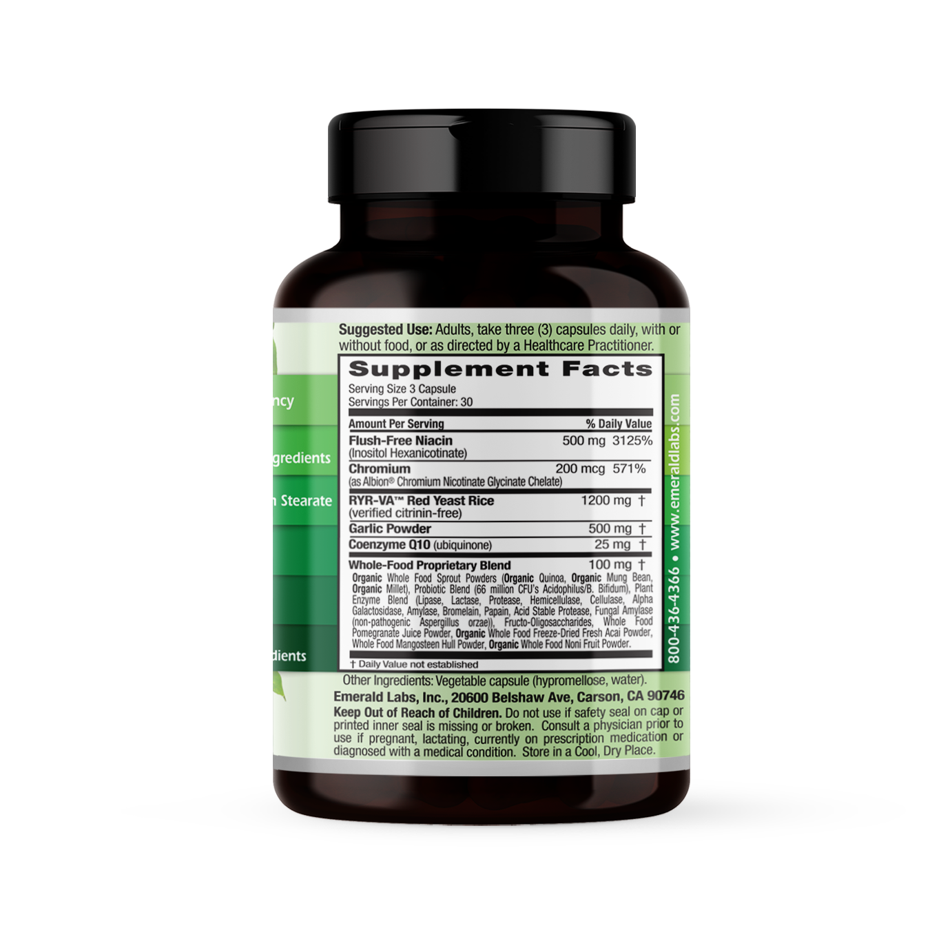 CHOLESTEROL HEALTH