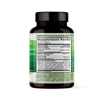 CHOLESTEROL HEALTH