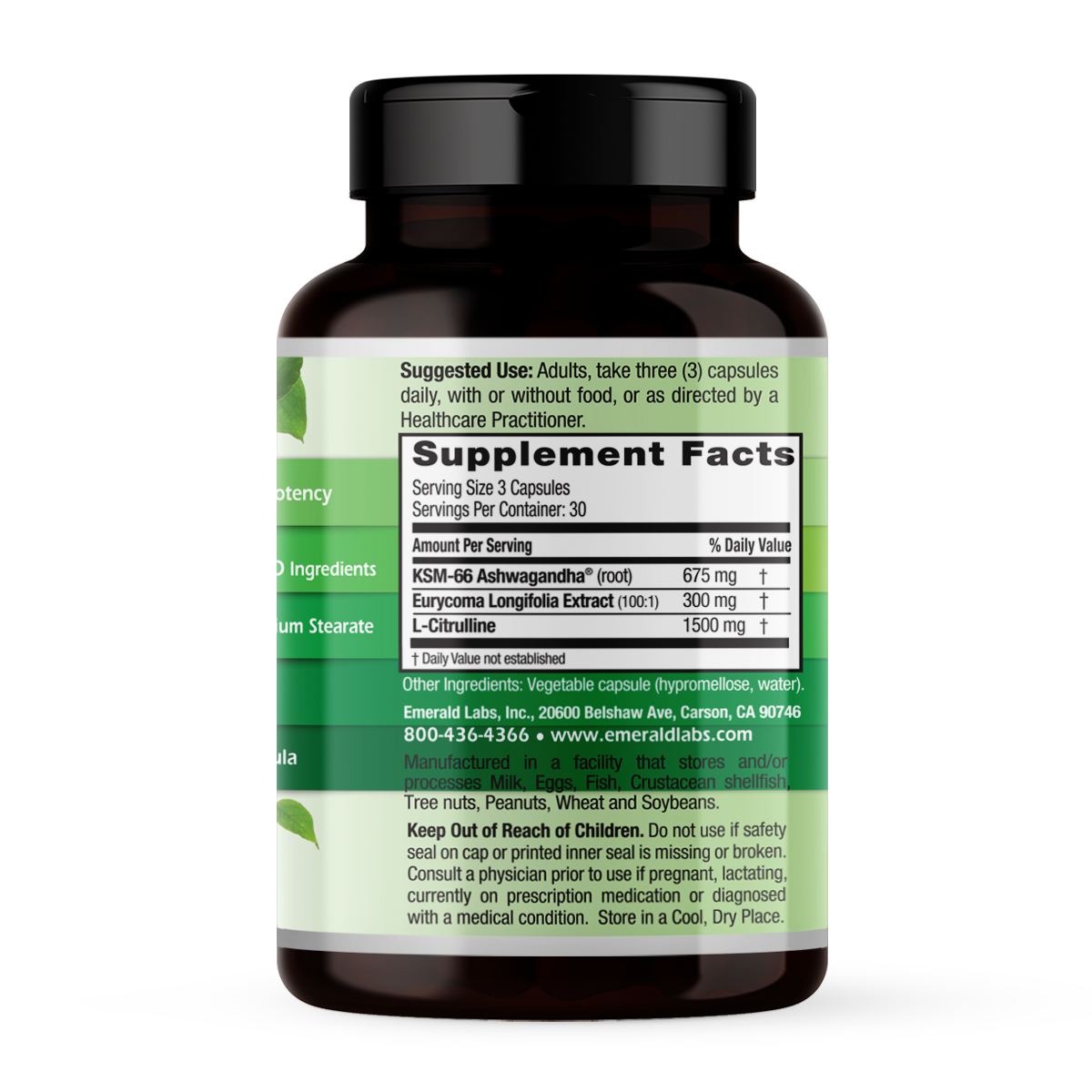 TESTOSTERONE HEALTH