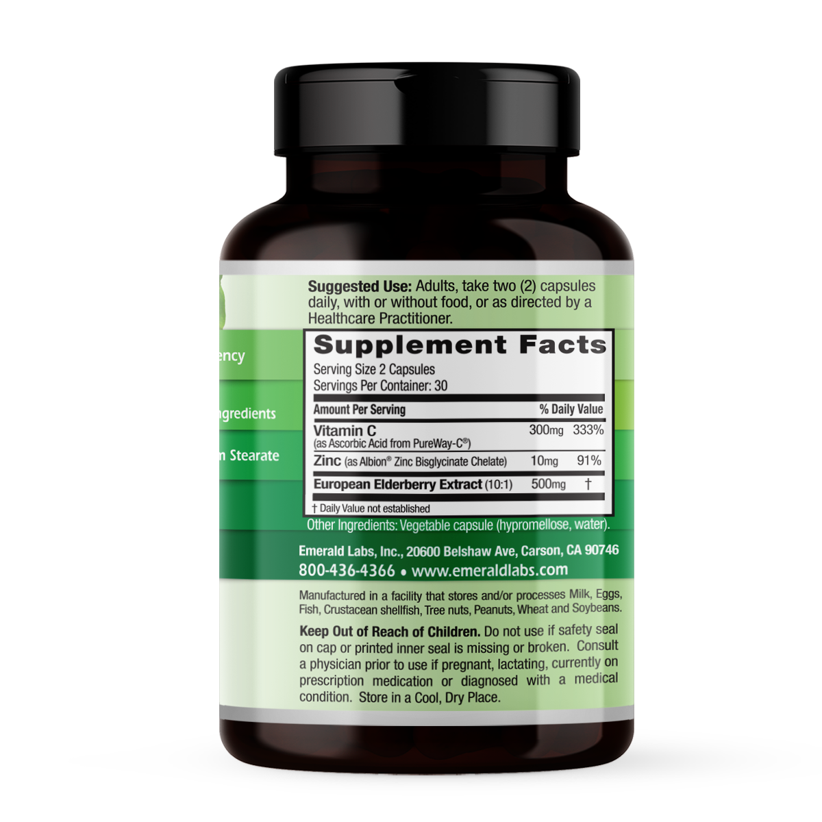 ELDERBERRY PLUS