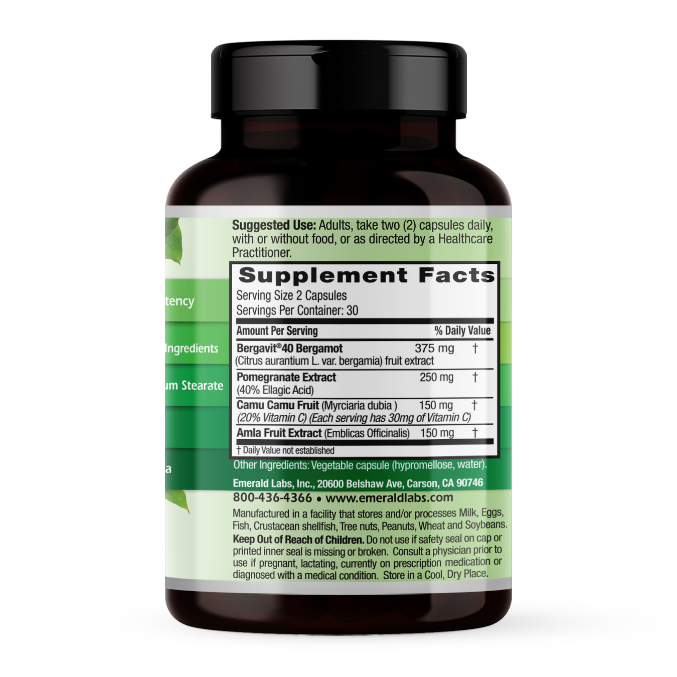 BERGAMOT PLUS