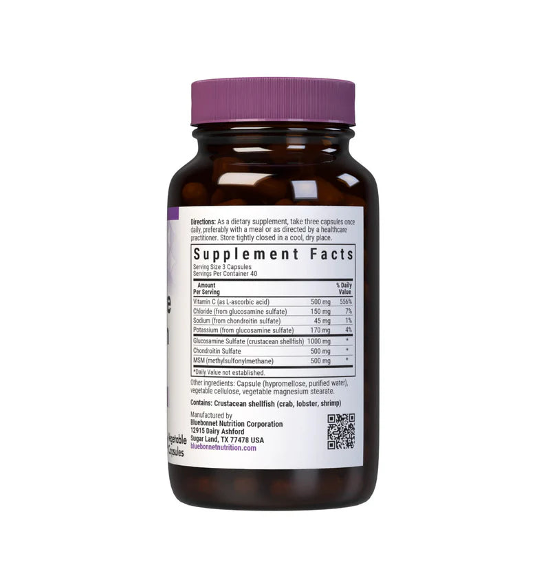 GLUCOSAMINE CHONDROITIN & MSM
