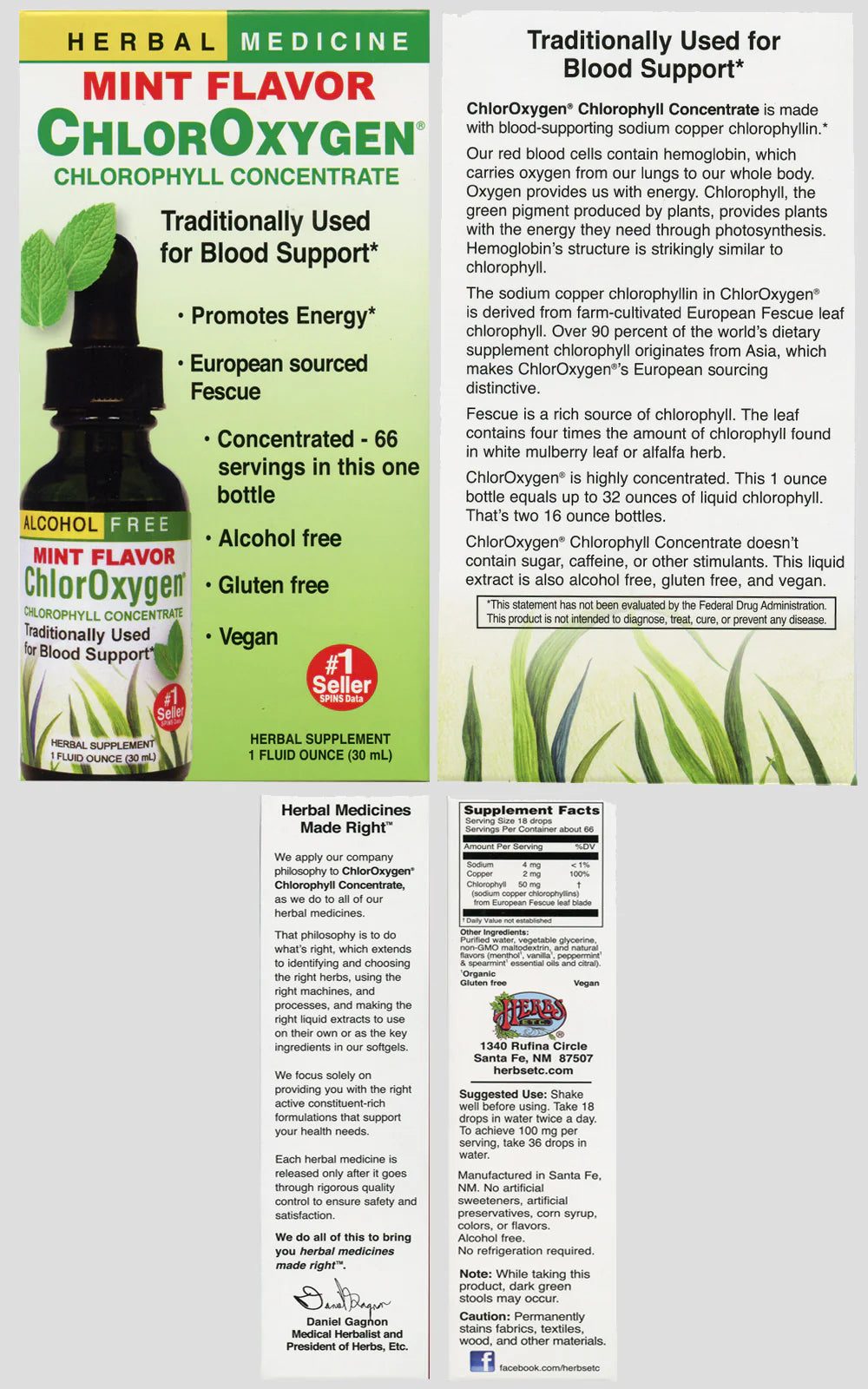 CHLOROXYGEN MINT CHLOROPHYLL CONC