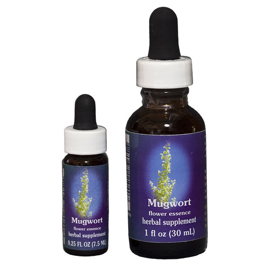MUGWORT
