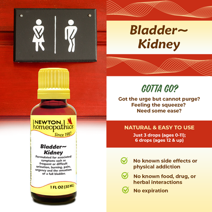 BLADDER ~ KIDNEY