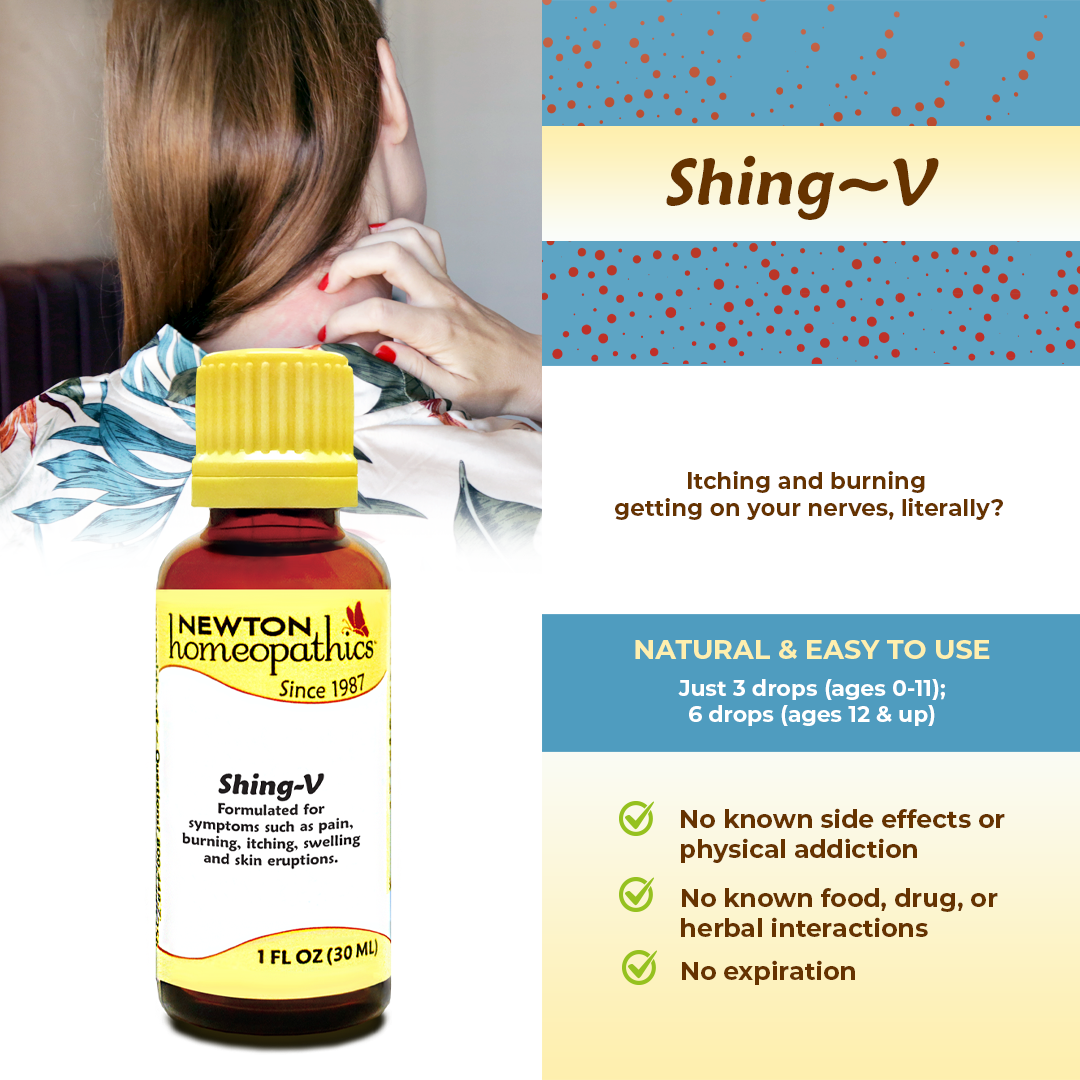 SHING-V