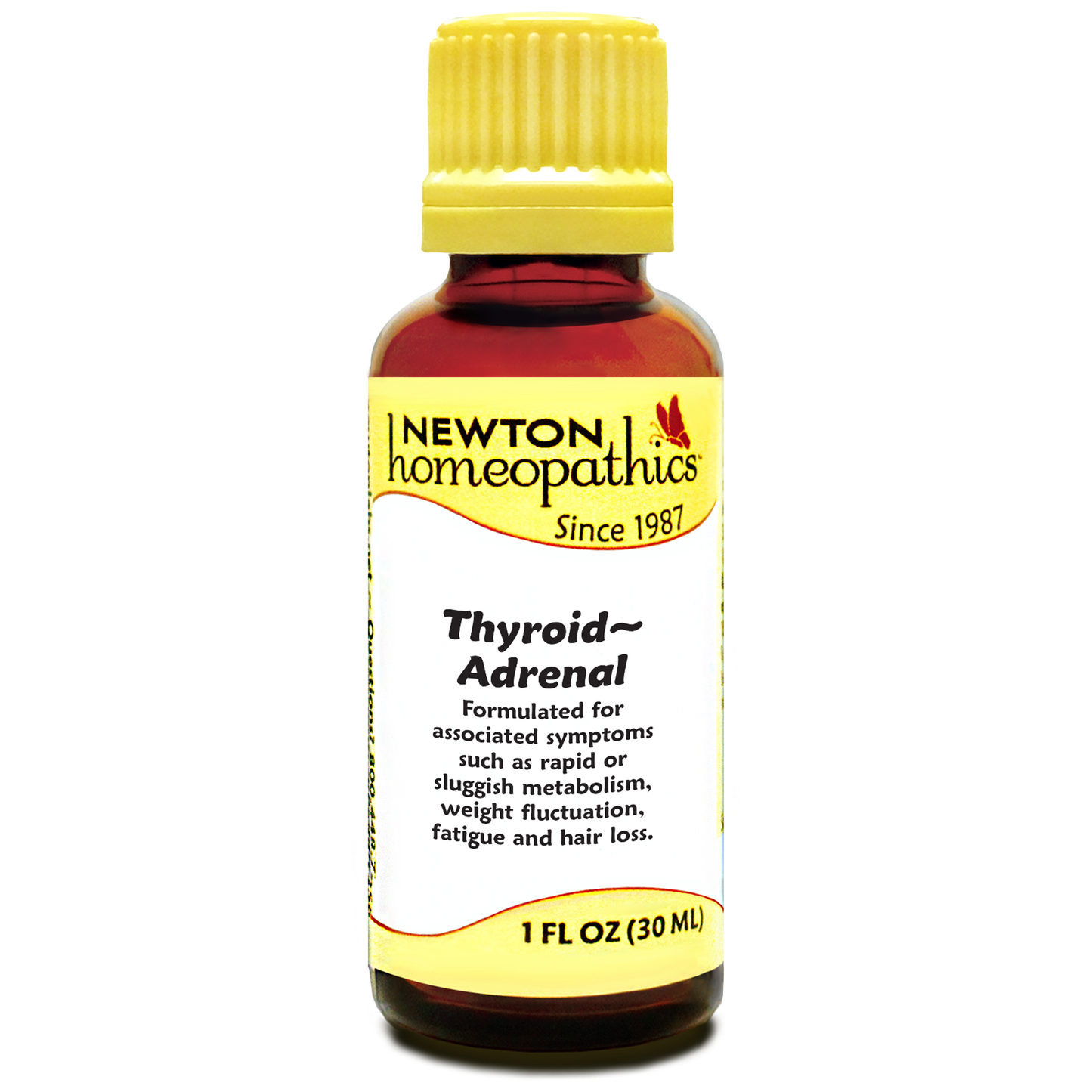 THYROID ~ ADRENAL