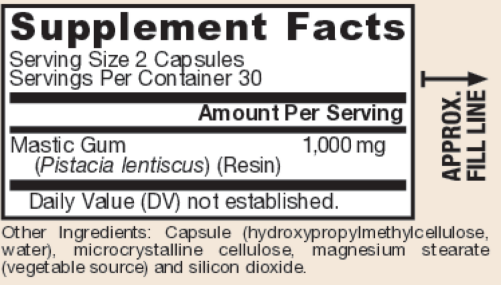 MASTIC GUM