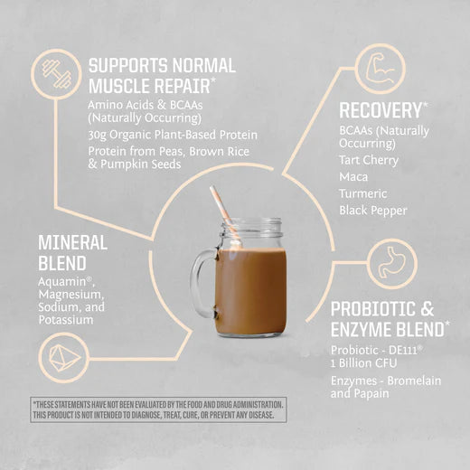 ACTIVE PROTEIN CHOCOLATE