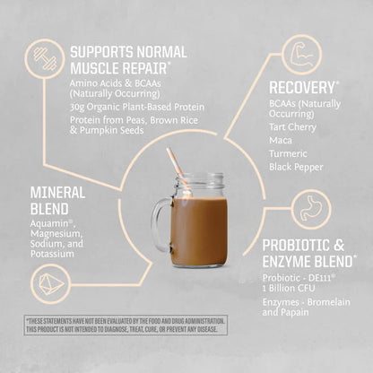 ACTIVE PROTEIN CHOCOLATE