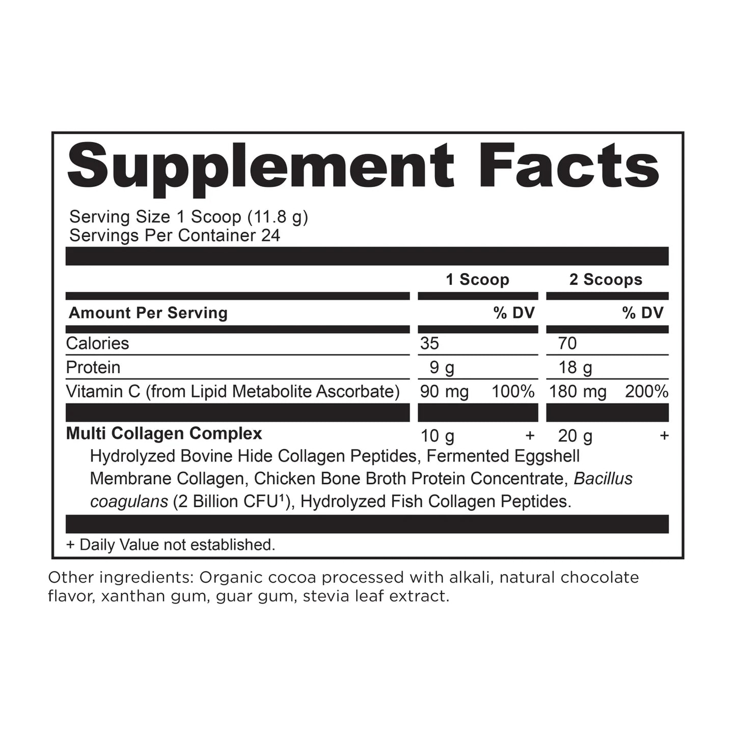 MULTI COLLAGEN PROTEIN CHOCOLATE