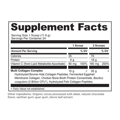 MULTI COLLAGEN PROTEIN CHOCOLATE