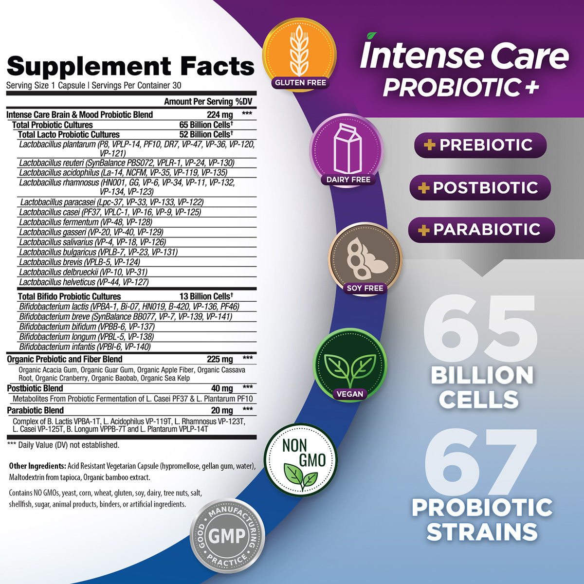 INTENSE CARE PROBIOTIC BRAIN + MOOD