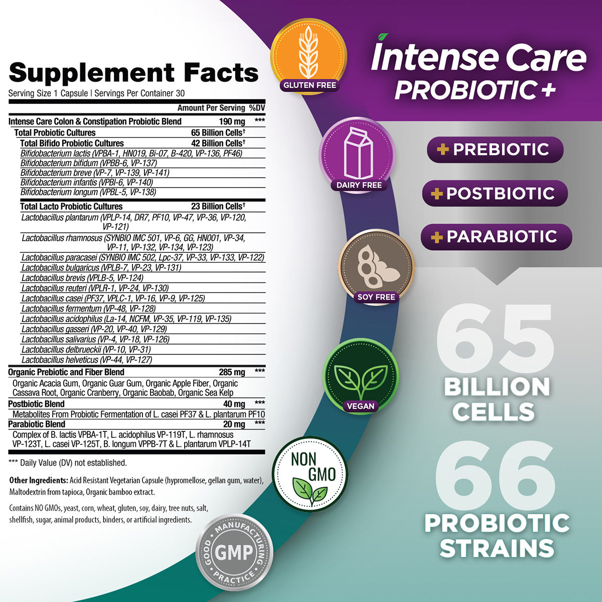 INTENSE CARE PROBIOTIC COLON + CONSTIPATION