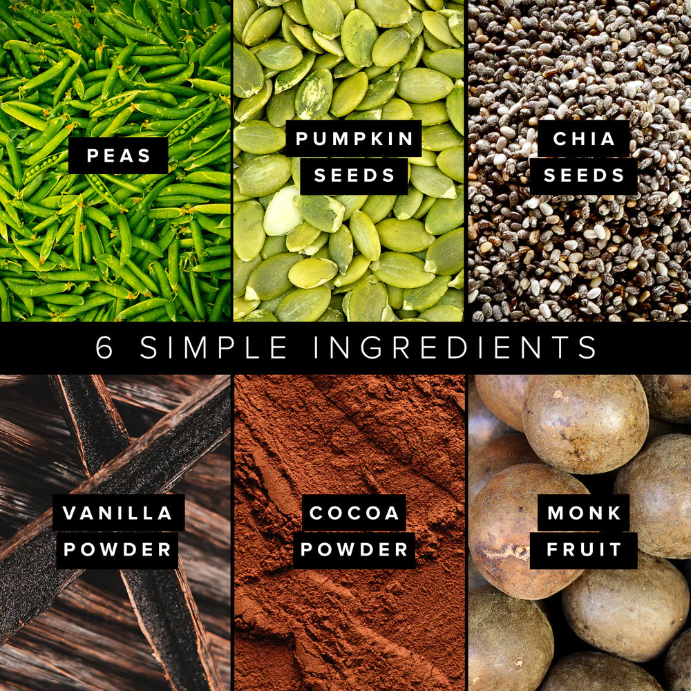 CHOCOLATE PLANT BASED PROTEIN POWDER