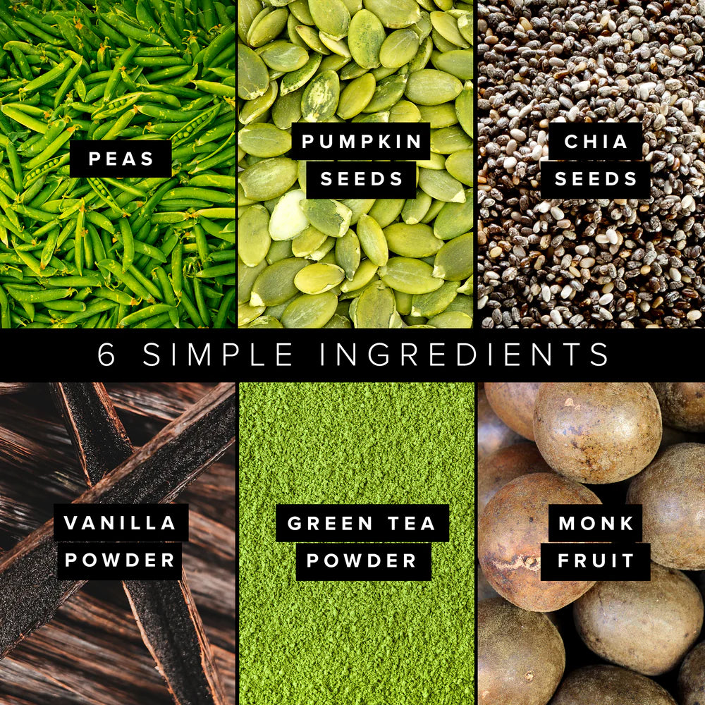 MATCHA PLANT BASED PROTEIN POWDER