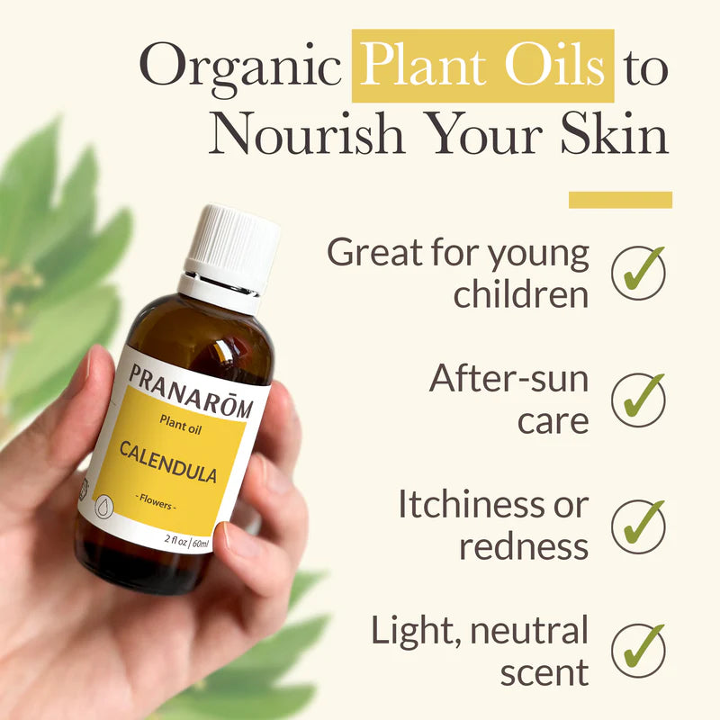CALENDULA PLANT OIL