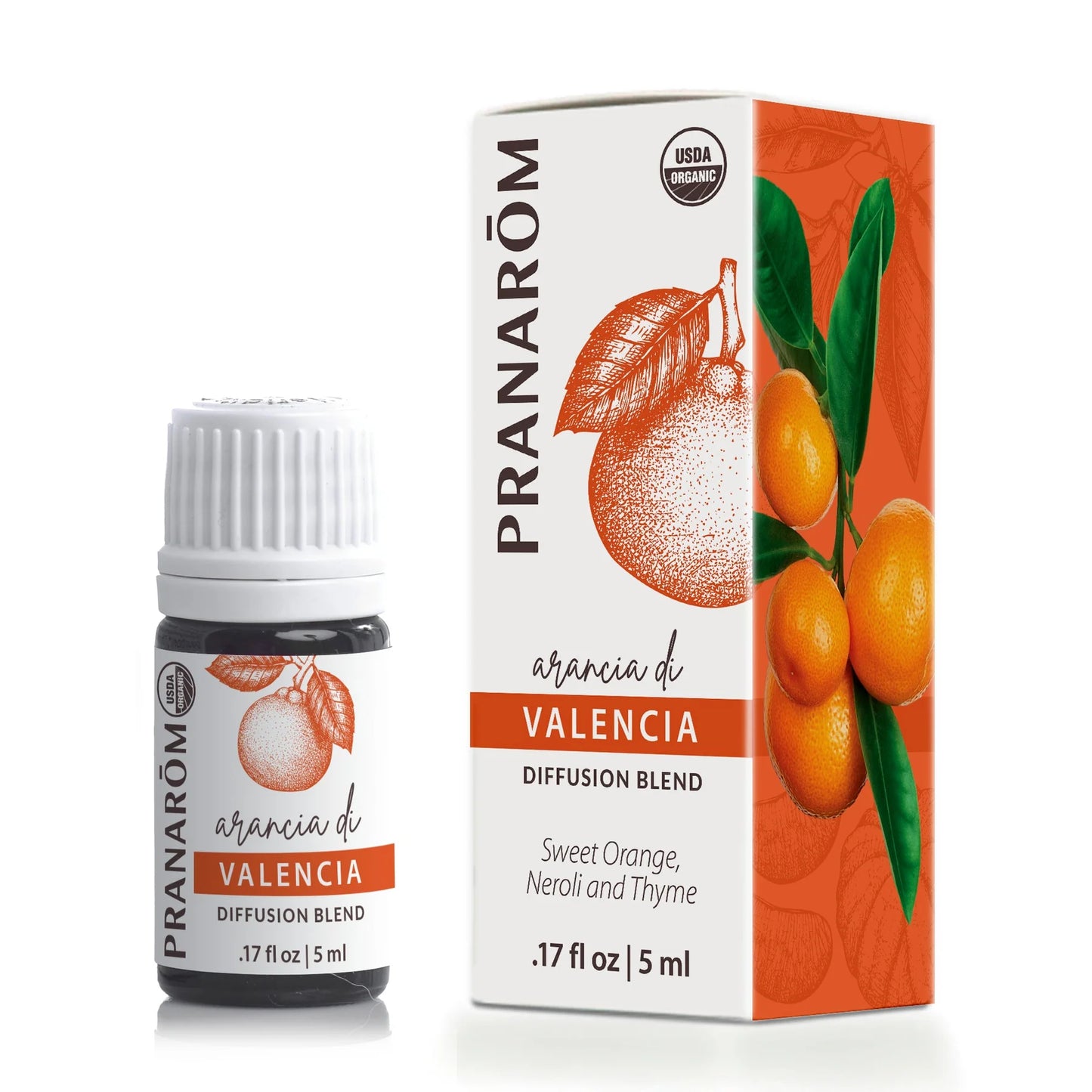 DIFFUSION BLEND VALENCIA