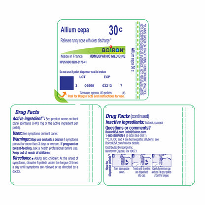 ALLIUM CEPA 3 C
