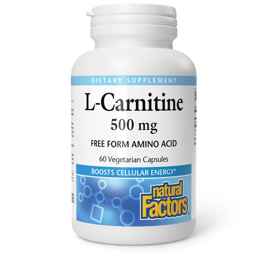 L-CARNITINE 500 MG