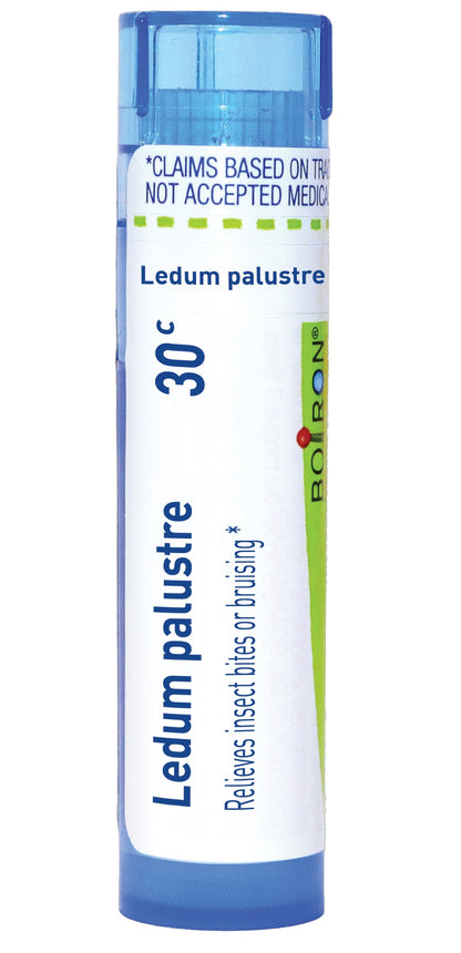 LEDUM PALUSTRE 30C