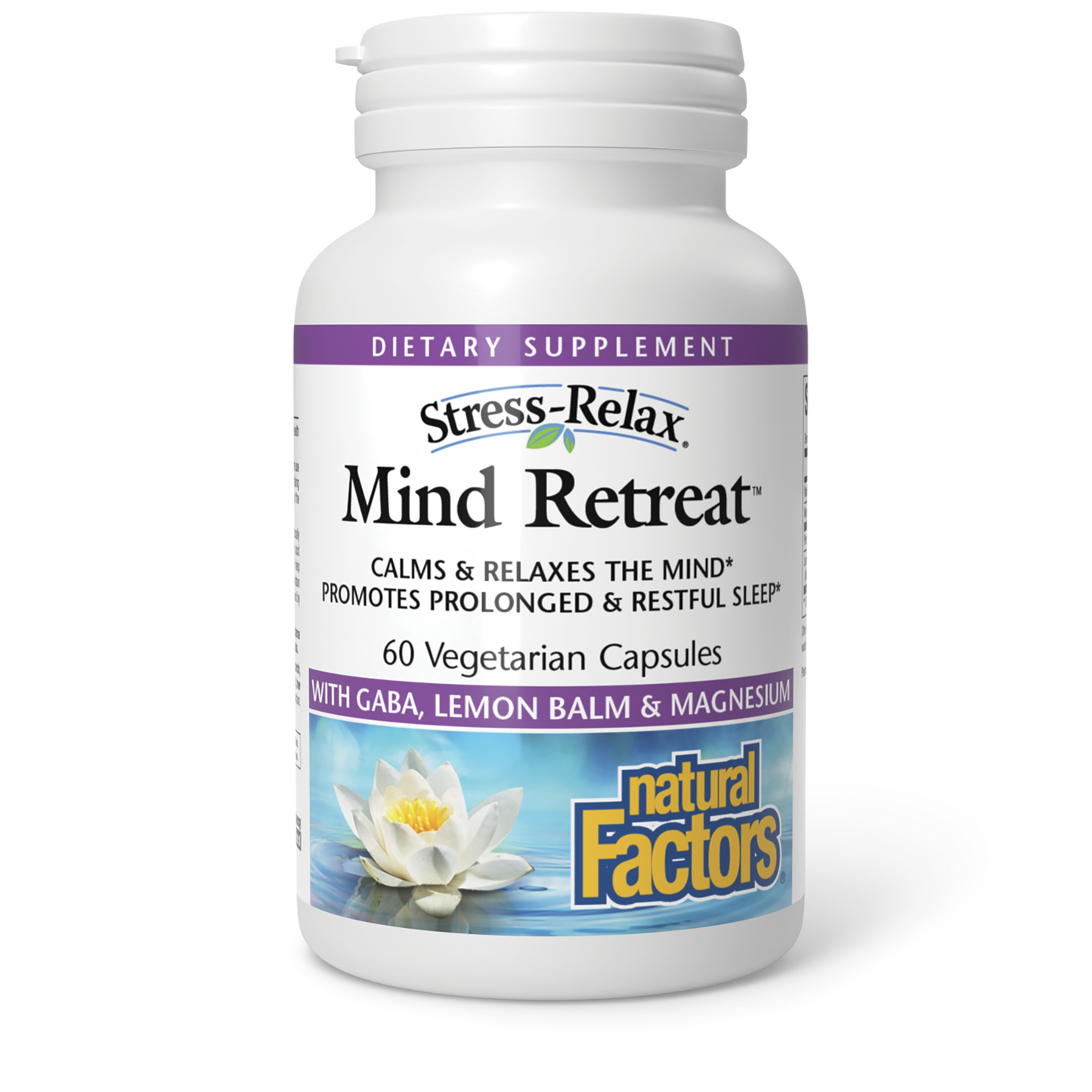 MIND RETREAT