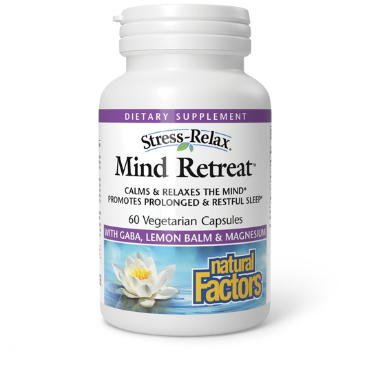 MIND RETREAT