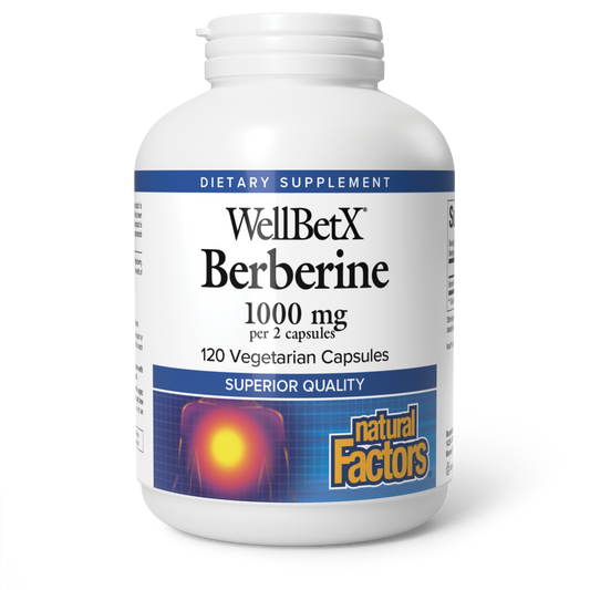 WELLBETX BERBERINE 1000 mg
